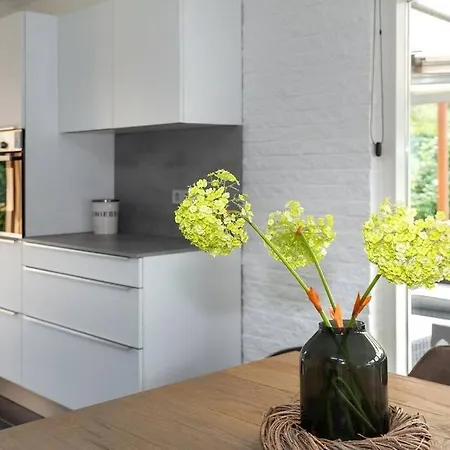 Holiday home Near With Large Private Garden - Not For Companies Ouddorp